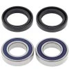 All Balls Wheel Bearing Kit - 25-1081 -Matrix-shop all balls wheel bearing kit 25 1081
